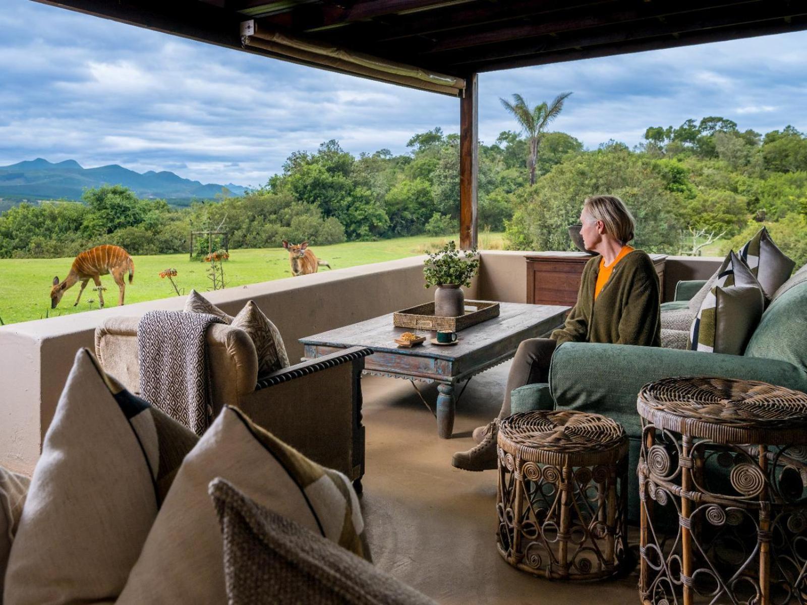 Belle Balance Bush Lodge Plettenberg Bay Exteriör bild